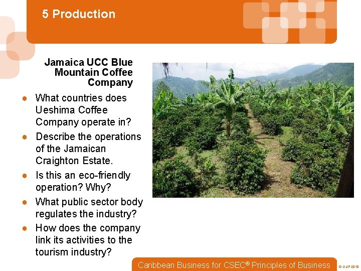 5 Production Jamaica UCC Blue Mountain Coffee Company ● What countries does Ueshima Coffee