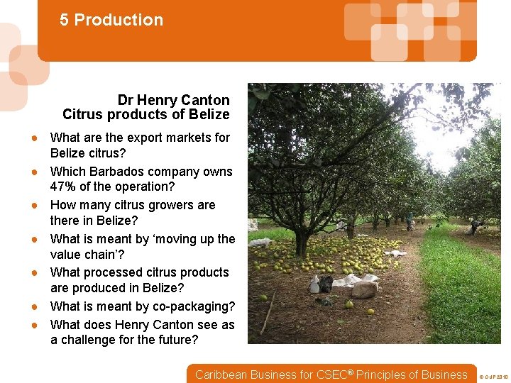 5 Production Dr Henry Canton Citrus products of Belize ● What are the export