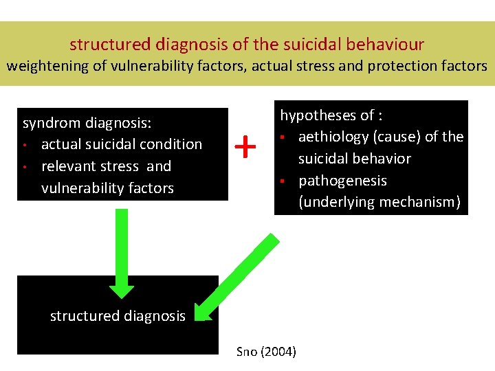 structured diagnosis of the suicidal behaviour weightening of vulnerability factors, actual stress and protection