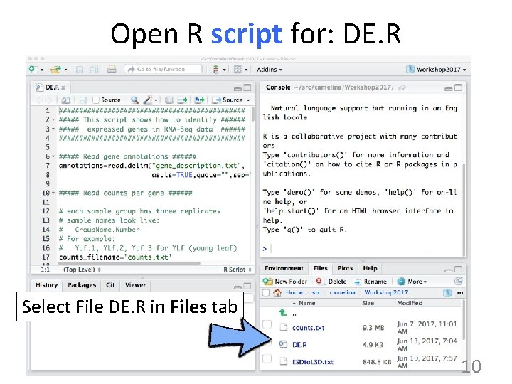 Open R script for: DE. R Select File DE. R in Files tab 10