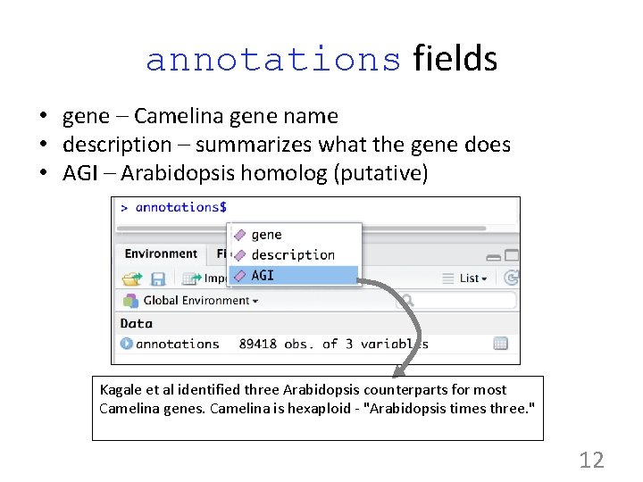 annotations fields • gene – Camelina gene name • description – summarizes what the
