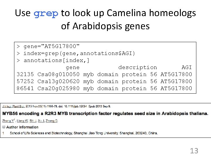 Use grep to look up Camelina homeologs of Arabidopsis genes > gene="AT 5 G