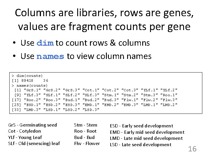 Columns are libraries, rows are genes, values are fragment counts per gene • Use