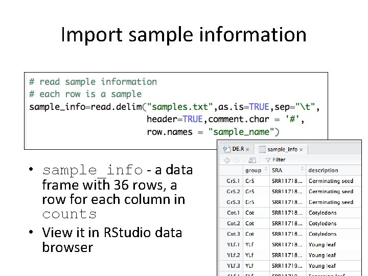 Import sample information • sample_info - a data frame with 36 rows, a row
