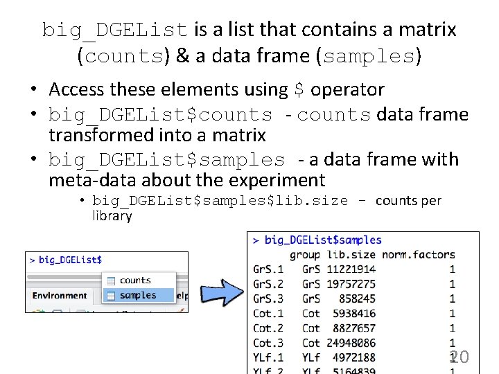 big_DGEList is a list that contains a matrix (counts) & a data frame (samples)