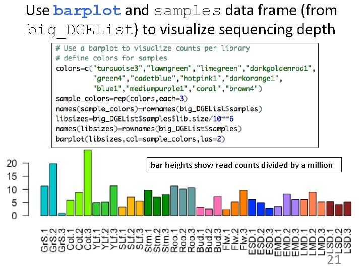 Use barplot and samples data frame (from big_DGEList) to visualize sequencing depth bar heights