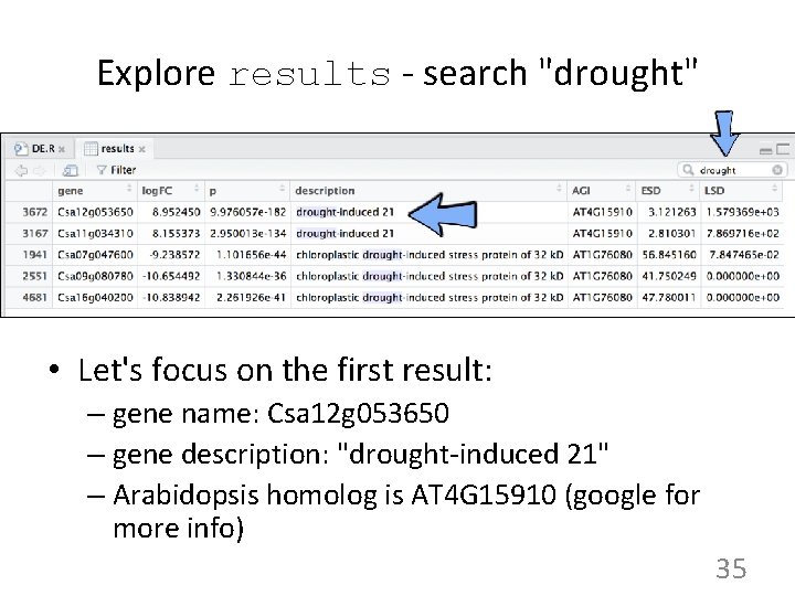 Explore results - search "drought" • Let's focus on the first result: – gene