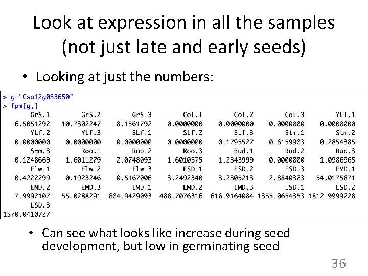 Look at expression in all the samples (not just late and early seeds) •
