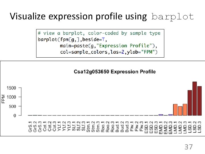 Visualize expression profile using barplot 37 