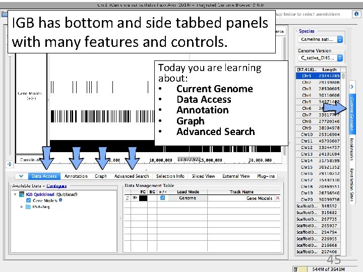 IGB has bottom and side tabbed panels with many features and controls. Today you