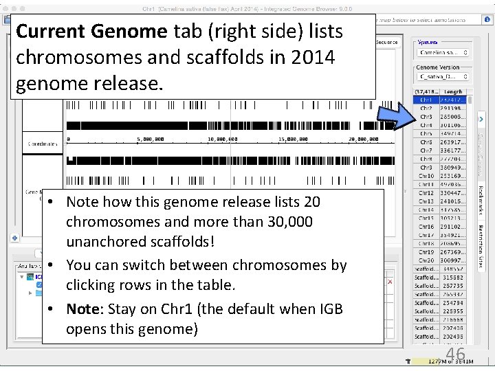 Current Genome tab (right side) lists chromosomes and scaffolds in 2014 genome release. •