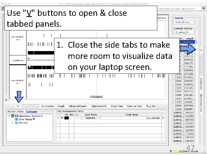 Use "V" buttons to open & close tabbed panels. 1. Close the side tabs