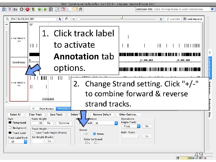 1. Click track label to activate Annotation tab options. 2. Change Strand setting. Click