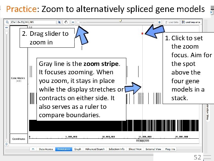 Practice: Zoom to alternatively spliced gene models 2. Drag slider to zoom in Gray