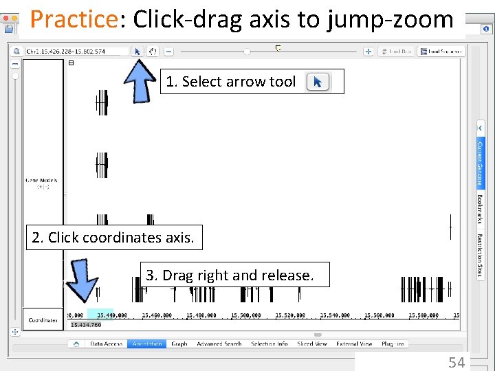 Practice: Click-drag axis to jump-zoom 1. Select arrow tool 2. Click coordinates axis. 3.