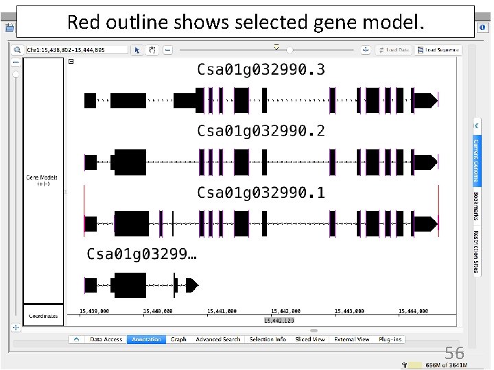 Red outline shows selected gene model. 56 