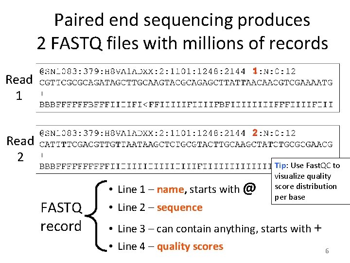 Paired end sequencing produces 2 FASTQ files with millions of records Read 1 1