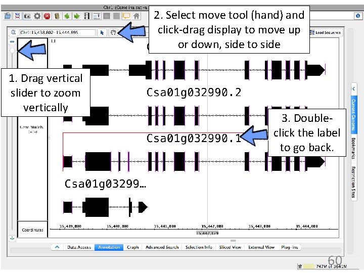 2. Select move tool (hand) and click-drag display to move up or down, side