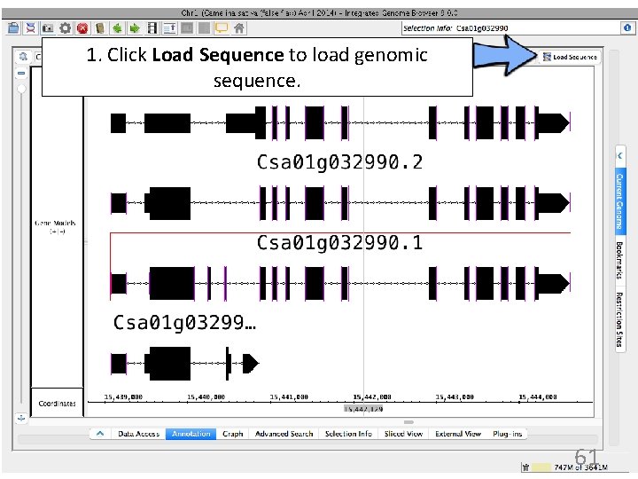 1. Click Load Sequence to load genomic sequence. 61 