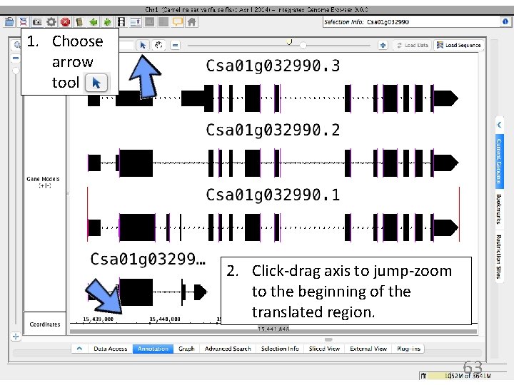 1. Choose arrow tool 2. Click-drag axis to jump-zoom to the beginning of the