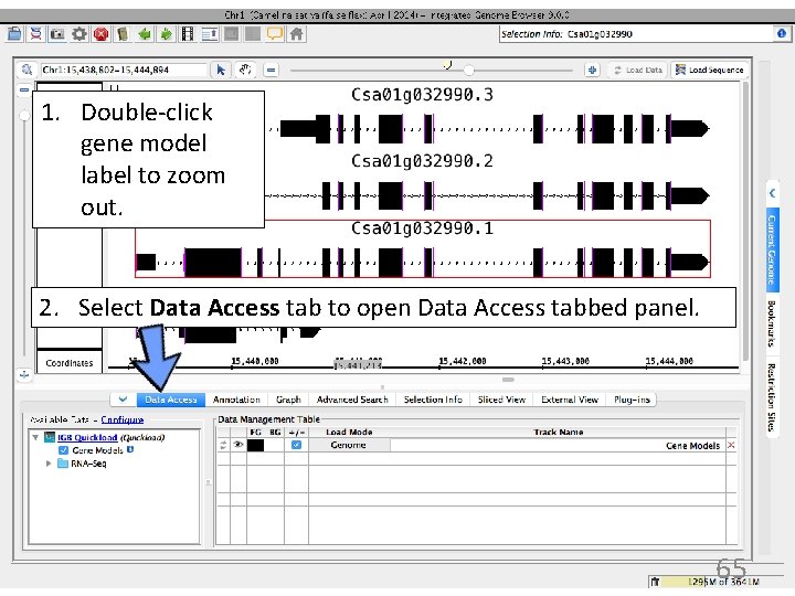 1. Double-click gene model label to zoom out. 2. Select Data Access tab to