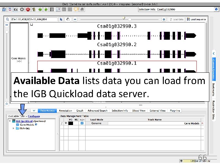 Available Data lists data you can load from the IGB Quickload data server. 66