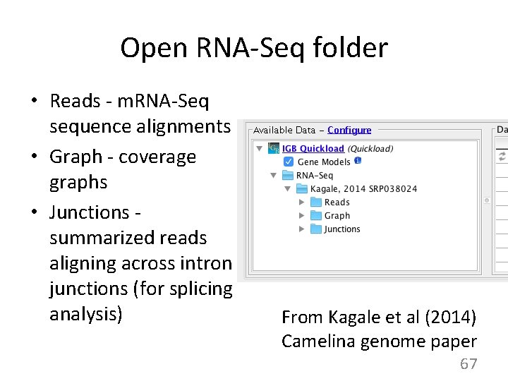 Open RNA-Seq folder • Reads - m. RNA-Seq sequence alignments • Graph - coverage