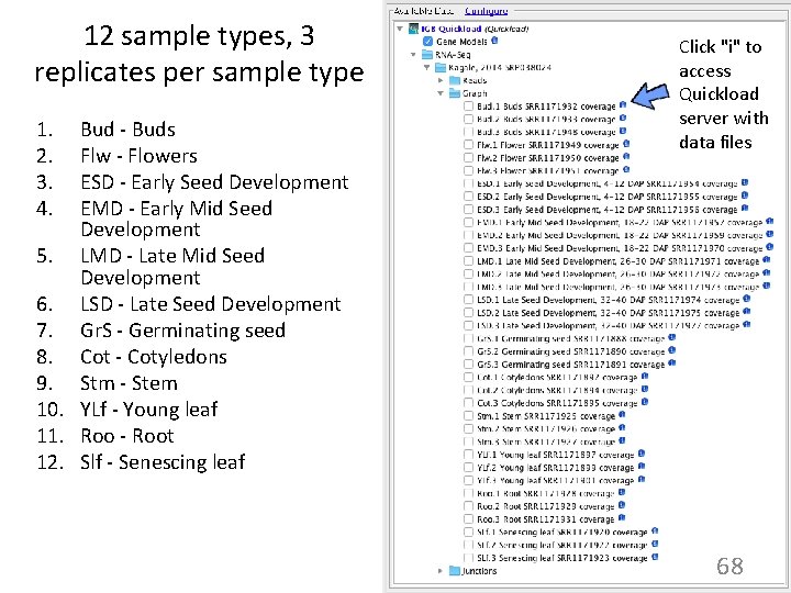 12 sample types, 3 replicates per sample type 1. 2. 3. 4. Bud -