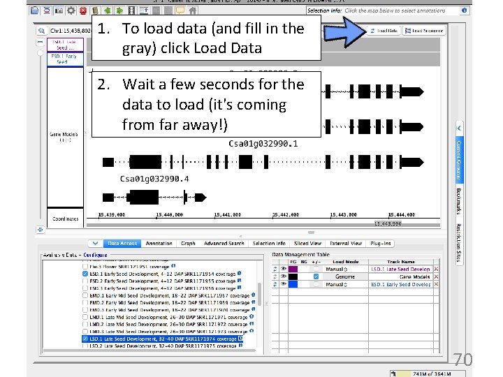 1. To load data (and fill in the gray) click Load Data 2. Wait