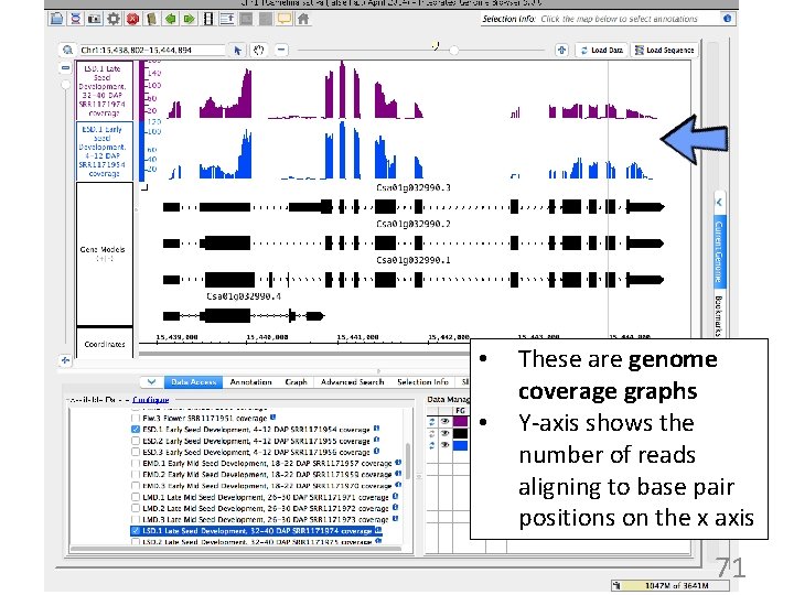  • • These are genome coverage graphs Y-axis shows the number of reads
