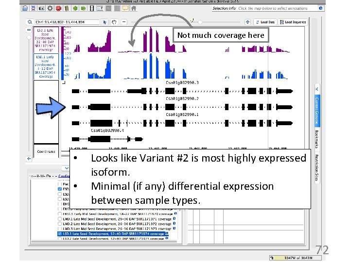 Not much coverage here • • Looks like Variant #2 is most highly expressed