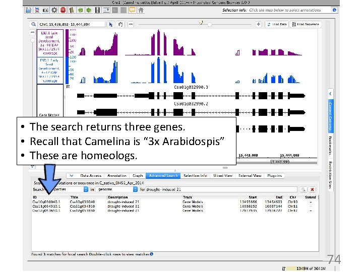  • The search returns three genes. • Recall that Camelina is “ 3