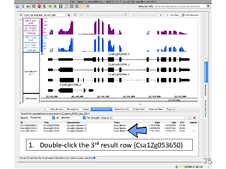 1. Double-click the 3 rd result row (Csa 12 g 053650) 75 