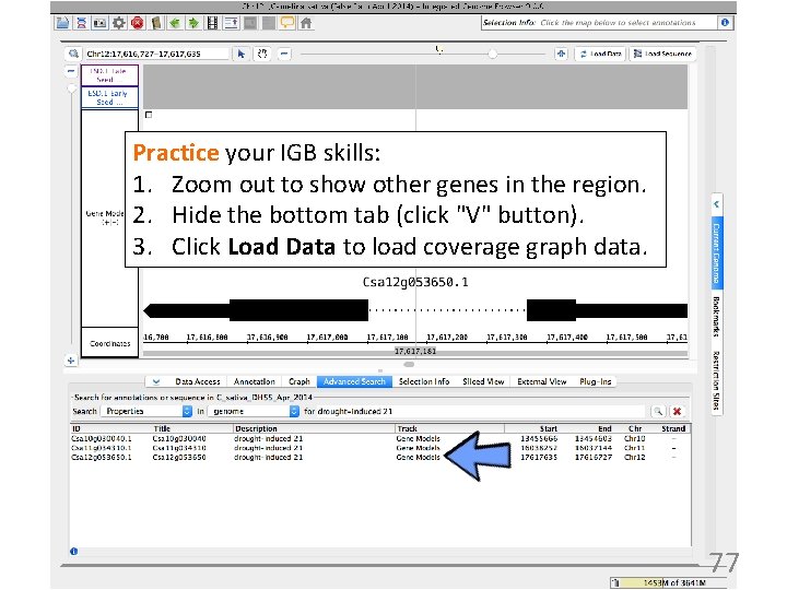 Practice your IGB skills: 1. Zoom out to show other genes in the region.