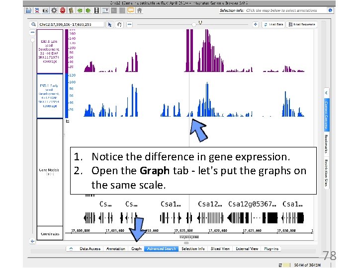 1. Notice the difference in gene expression. 2. Open the Graph tab - let's