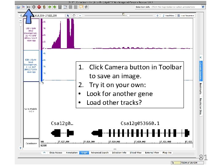 1. Click Camera button in Toolbar to save an image. 2. Try it on