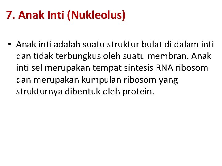 7. Anak Inti (Nukleolus) • Anak inti adalah suatu struktur bulat di dalam inti