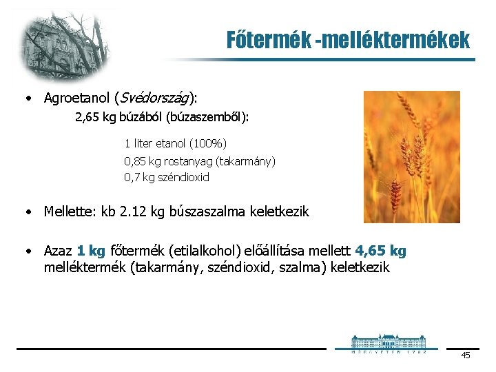 Főtermék -melléktermékek • Agroetanol (Svédország): 2, 65 kg búzából (búzaszemből): 1 liter etanol (100%)