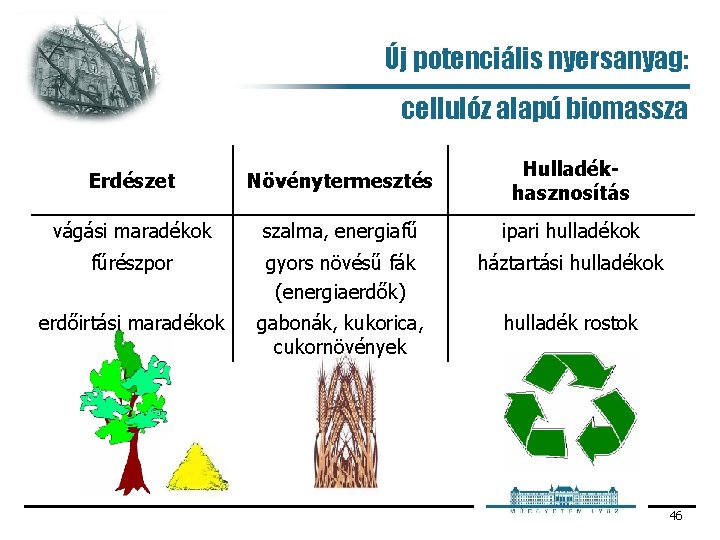 Új potenciális nyersanyag: cellulóz alapú biomassza Erdészet Növénytermesztés Hulladékhasznosítás vágási maradékok szalma, energiafű ipari