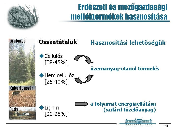 Erdészeti és mezőgazdasági melléktermékek hasznosítása Lucfenyő Összetételük Hasznosítási lehetőségük u Cellulóz [38 45%] üzemanyag-etanol