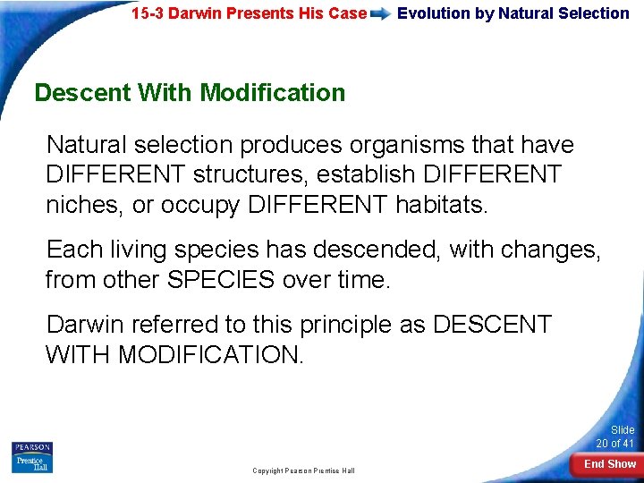 15 -3 Darwin Presents His Case Evolution by Natural Selection Descent With Modification Natural