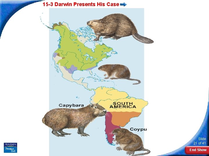 15 -3 Darwin Presents His Case Slide 21 of 41 Copyright Pearson Prentice Hall