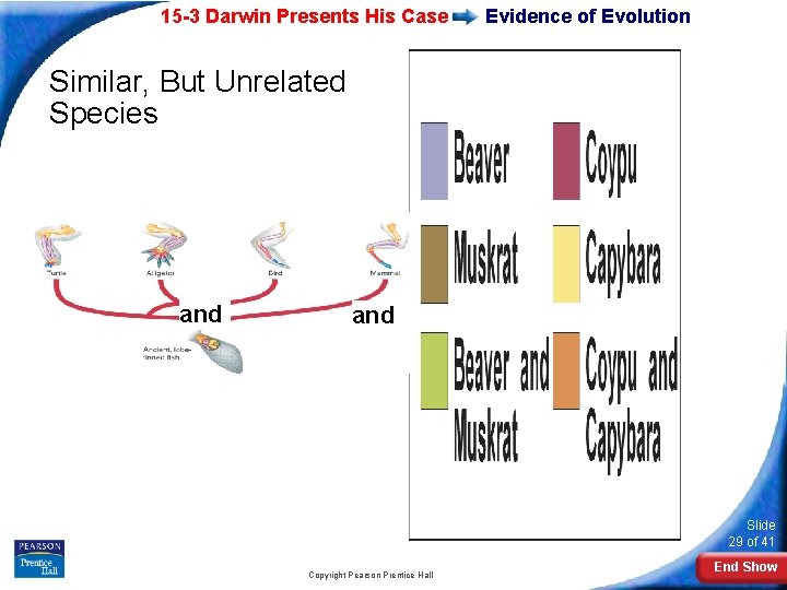 15 -3 Darwin Presents His Case Evidence of Evolution Similar, But Unrelated Species and