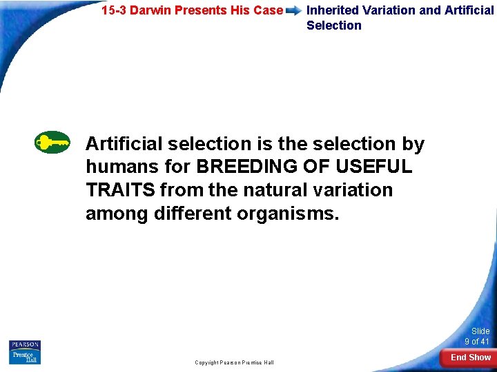 15 -3 Darwin Presents His Case Inherited Variation and Artificial Selection Artificial selection is