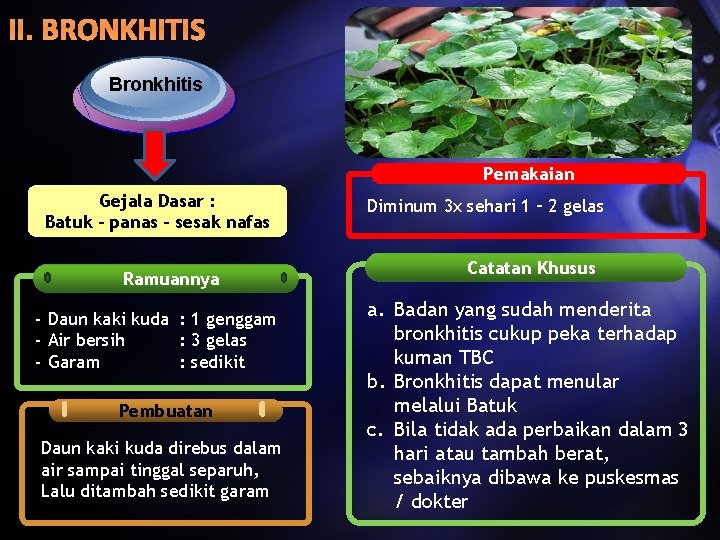 II. BRONKHITIS Bronkhitis Pemakaian Gejala Dasar : Batuk – panas – sesak nafas Ramuannya