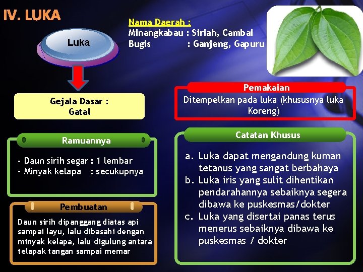 IV. LUKA Luka Nama Daerah : Minangkabau : Siriah, Cambai Bugis : Ganjeng, Gapuru