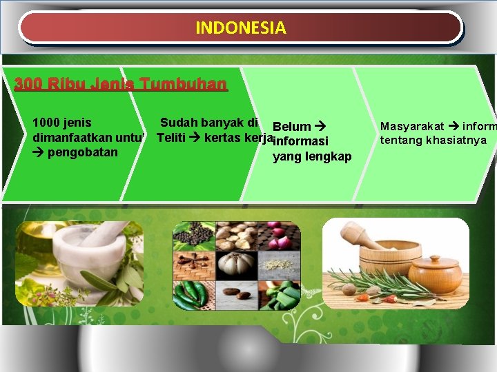 INDONESIA 300 Ribu Jenis Tumbuhan 1000 jenis Sudah banyak di Belum dimanfaatkan untuk Teliti