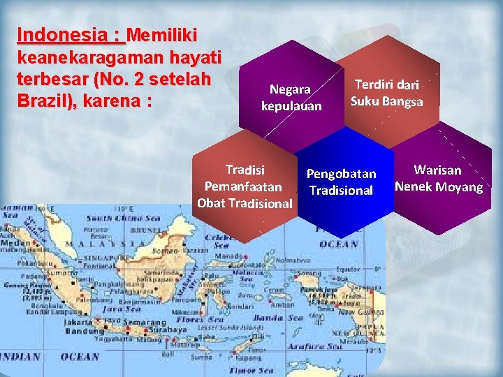 Indonesia : Memiliki keanekaragaman hayati terbesar (No. 2 setelah Brazil), karena : Negara kepulauan