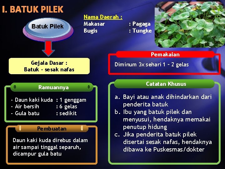 I. BATUK PILEK Batuk Pilek Nama Daerah : Makasar Bugis : Pagaga : Tungke