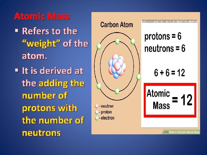 Atomic Mass § Refers to the “weight” of the atom. § It is derived